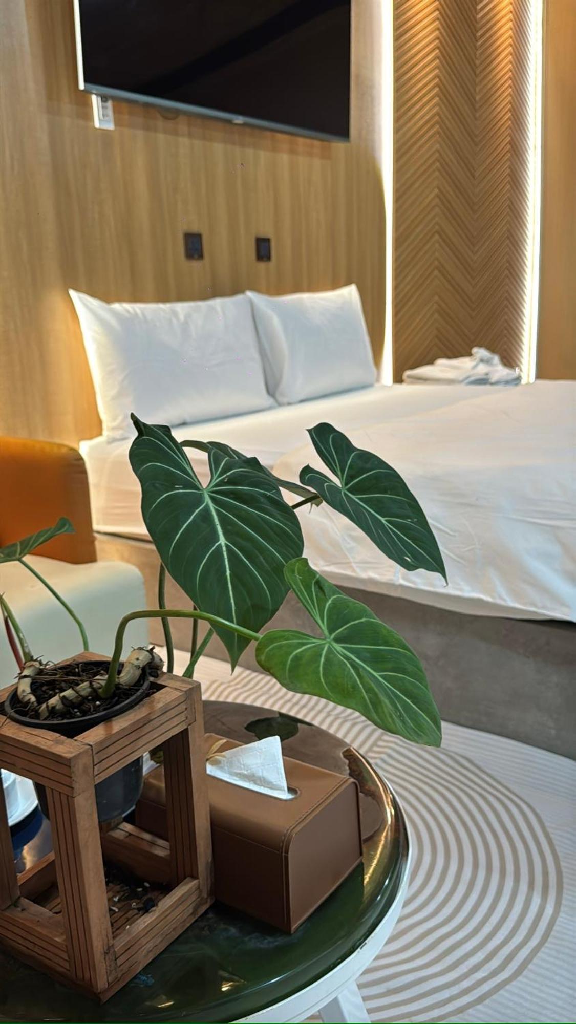 La Garden Homestay Long Xuyên Εξωτερικό φωτογραφία